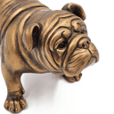 Gold Bulldog - Statue at online8 furniture store Auckland