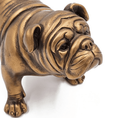 Gold Bulldog - Statue at online8 furniture store Auckland