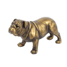 Gold Bulldog - Statue at online8 furniture store Auckland