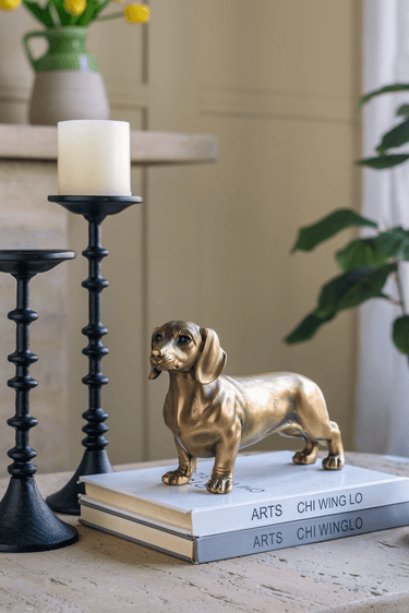 Gold Dog - Statue at online8 furniture store Auckland