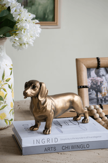 Gold Dog - Statue at online8 furniture store Auckland