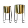 Gold Metal Planters on Black Stands Set/2 at online8 furniture store Auckland