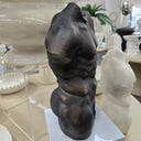 Greco Roman Nude Torso Sculpture - Black at Online8 Furniture Auckland NZ