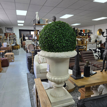 Green Boxwood Ball Large 48cm at online8 furniture store Auckland