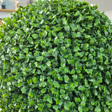Green Boxwood Ball Large 48cm at online8 furniture store Auckland