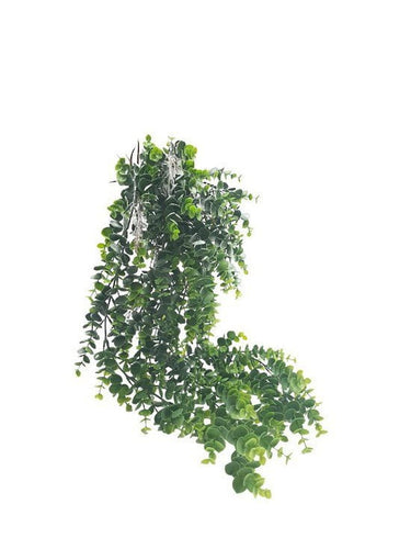 Hanging Eucalyptus Plant Grey/Green - Faux Plant at online8 furniture store Auckland