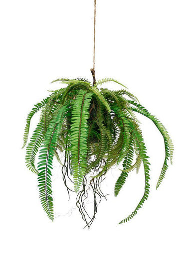 Hanging Fern Ball at online8 furniture store Auckland