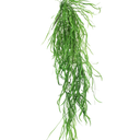 Hanging Grass Vine 120cm at online8 furniture store Auckland
