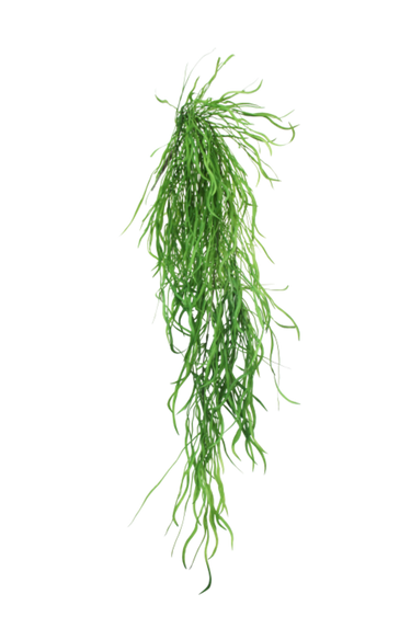 Hanging Grass Vine 120cm at online8 furniture store Auckland