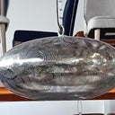 Hanging Pendant - Nickel at online8 furniture store Auckland