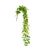 Hanging Shell Plant 90cm at online8 furniture store Auckland