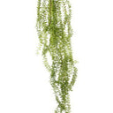 Hanging Tassel Fern - Faux Plant at online8 furniture store Auckland