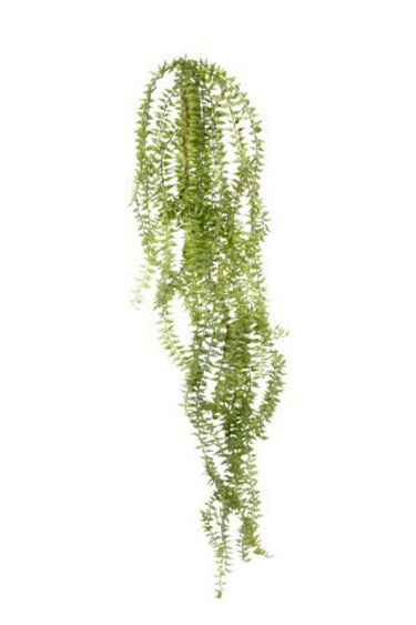 Hanging Tassel Fern - Faux Plant at online8 furniture store Auckland