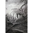 Hanging Wall Art: Milford (Black & White) at Online8 Furniture Auckland NZ