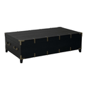 Harlequin Trunk Coffee Table - Old Pine at online8 furniture store Auckland