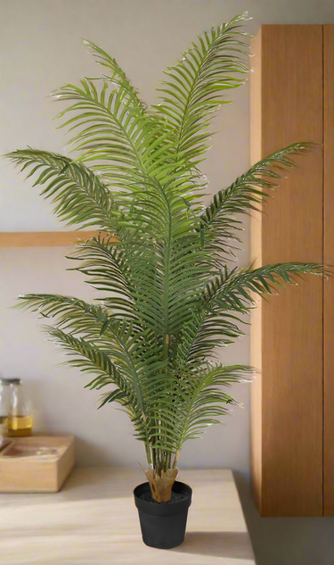 Hawaiian Palm Tree Potted 1.8m at online8 furniture store Auckland