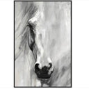 Horse Gaze Framed Wall Art at Online8 Furniture Auckland NZ