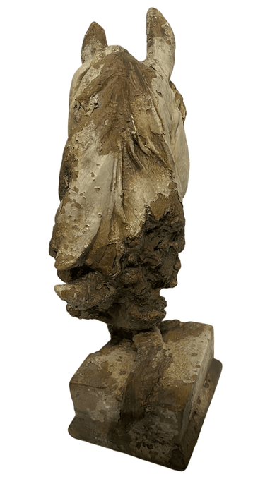 Horse Head - Indoor & Outdoor at online8 furniture store Auckland