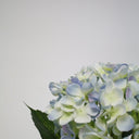 Hydrangea Short Stem 45cm Blue at online8 furniture store Auckland