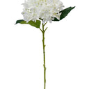Hydrangea Short Stem 45cm White at online8 furniture store Auckland