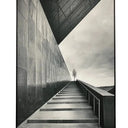 Integrated 3D Wall Art at online8 furniture store Auckland