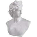 Julian Bust Statue - Large at online8 furniture store Auckland