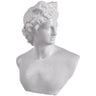 Julian Bust Statue - Large at online8 furniture store Auckland