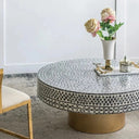 Juliana Shell Coffee Table at online8 furniture store Auckland
