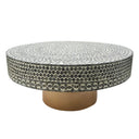 Juliana Shell Coffee Table at online8 furniture store Auckland