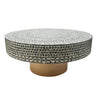 Juliana Shell Coffee Table at online8 furniture store Auckland