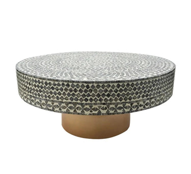 Juliana Shell Coffee Table at online8 furniture store Auckland