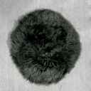 Kaikoura Long Wool Seat Pad - Thyme at online8 furniture store Auckland