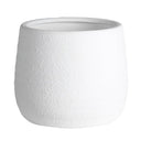 Kianna White Bellied Cover Pot - Medium at online8 furniture store Auckland