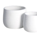 Kianna White Bellied Cover Pot - Small at online8 furniture store Auckland