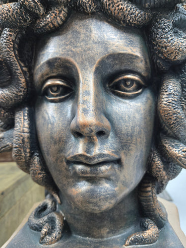 Large Medusa Head Statue - Indoor/Outdoor at online8 furniture store Auckland