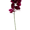 Large Phalaenopsis 95cm Fuschia at online8 furniture store Auckland