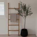 Large Rustic Ladder – Natural at online8 furniture store Auckland
