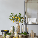 Lemon & Leaves Planter -Set of 2 at online8 furniture store Auckland