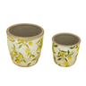 Lemon & Leaves Planter -Set of 2 at online8 furniture store Auckland