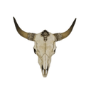 Long Horn Wall Decor at online8 furniture store Auckland