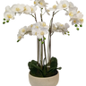 Low Dish Real Touch Potted Orchid - 80cm at online8 furniture store Auckland