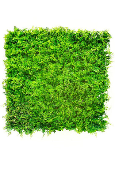 Maiden Hair Square 1m x 1m at online8 furniture store Auckland