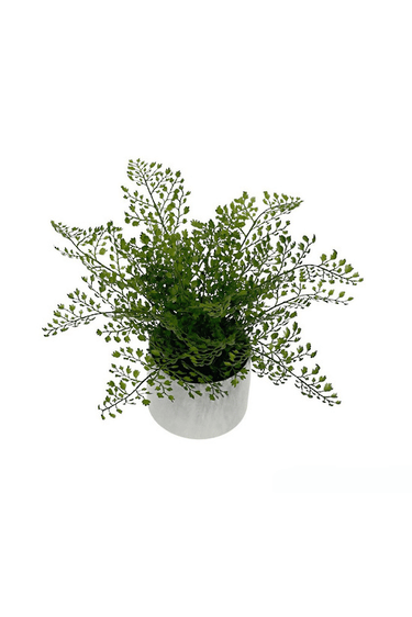 Maidenhair Fern Potted - 32cm Faux Plant at online8 furniture store Auckland