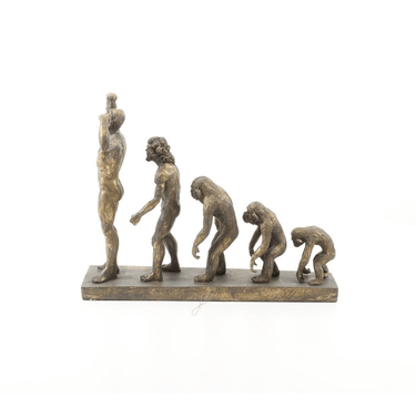 Man's Evolution Statue at online8 furniture store Auckland