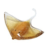 Mantaray Glass Accent Small at online8 furniture store Auckland