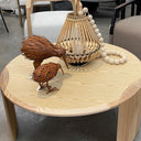 Metal Kiwi Sculpture - Medium at online8 furniture store Auckland