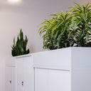 Milano 1200 Planter Box at online8 furniture store Auckland