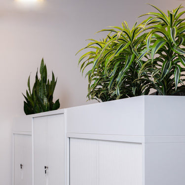 Milano 1200 Planter Box at online8 furniture store Auckland