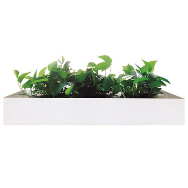 Milano 1200 Planter Box at online8 furniture store Auckland