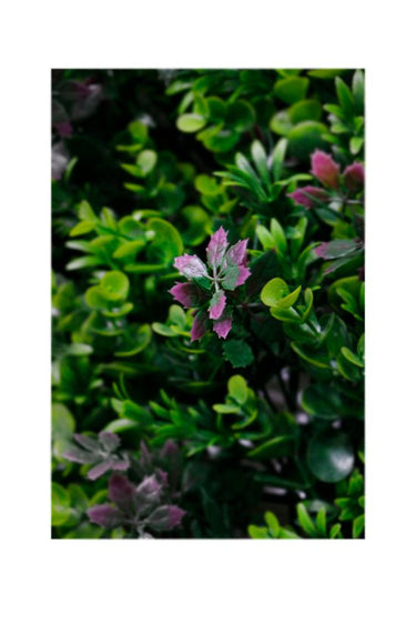 Mixed Foliage Square 50cm x 50cm at online8 furniture store Auckland